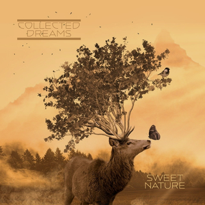 久草资源在线视频
