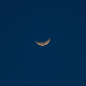 久草资源在线视频
